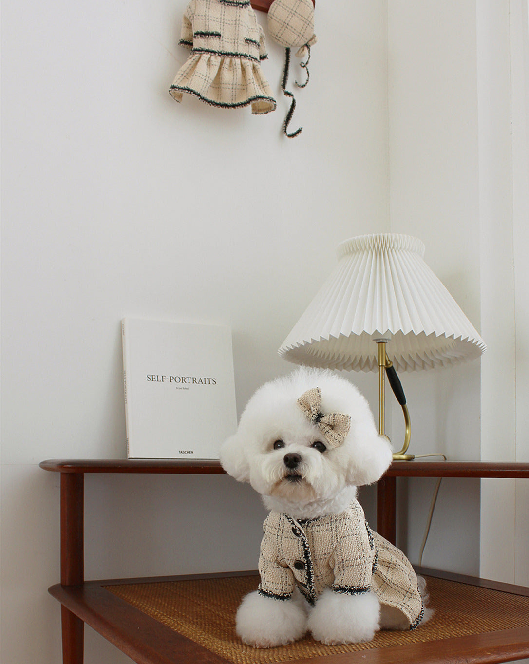 Princess Dress for Cats and Small Dogs - Pawsitive Cuddles