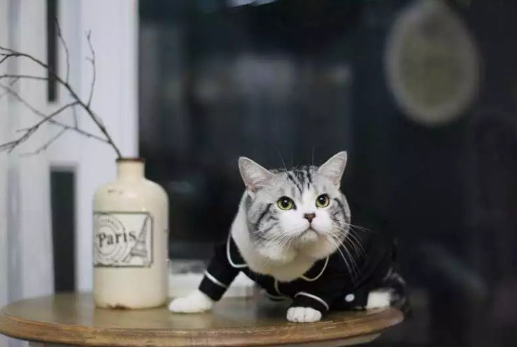 Summer pet pajamas - Pawsitive Cuddles