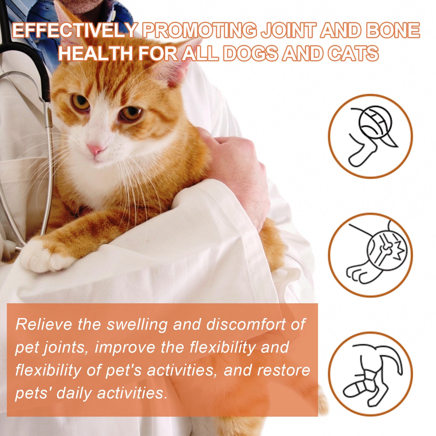 Pet Joint Repair Spray - Pawsitive Cuddles