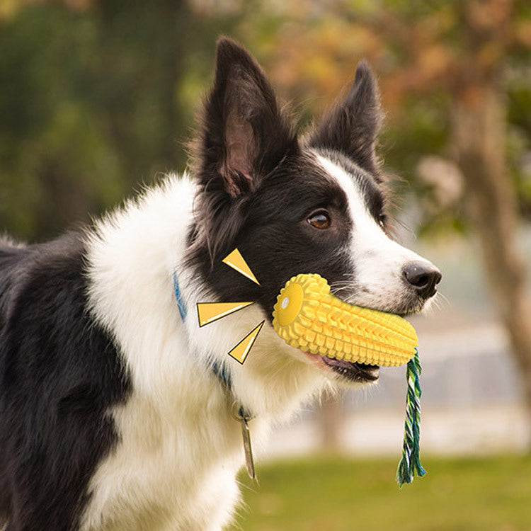 Bite-Resistant Pet Toy with Squeaker - Pawsitive Cuddles