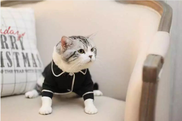 Summer pet pajamas - Pawsitive Cuddles