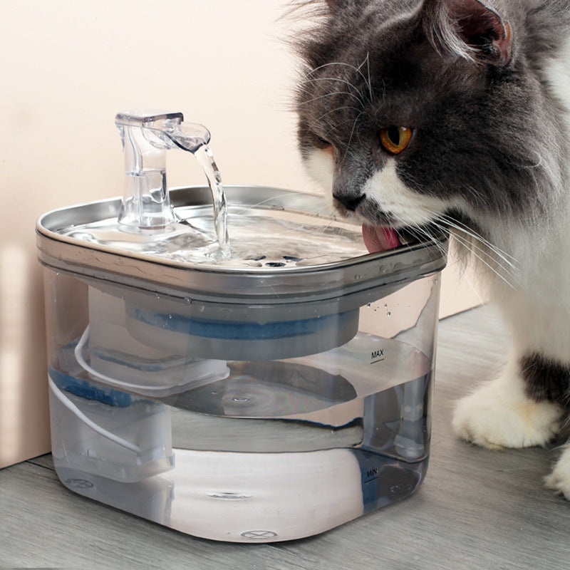 Stainless Steel Automatic Pet Water Fountain - Pawsitive Cuddles