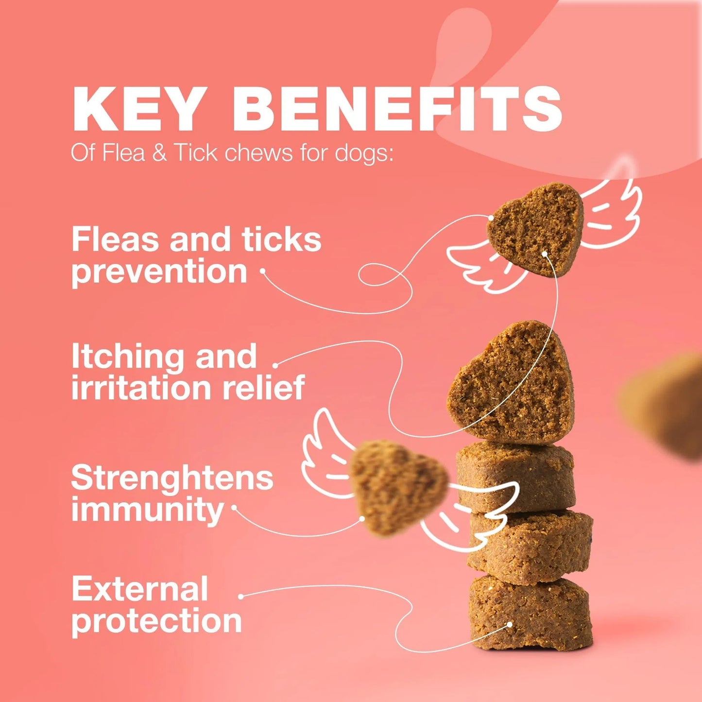 Flea & Tick Prevention with Immune Support Soft Treats - Pawsitive Cuddles
