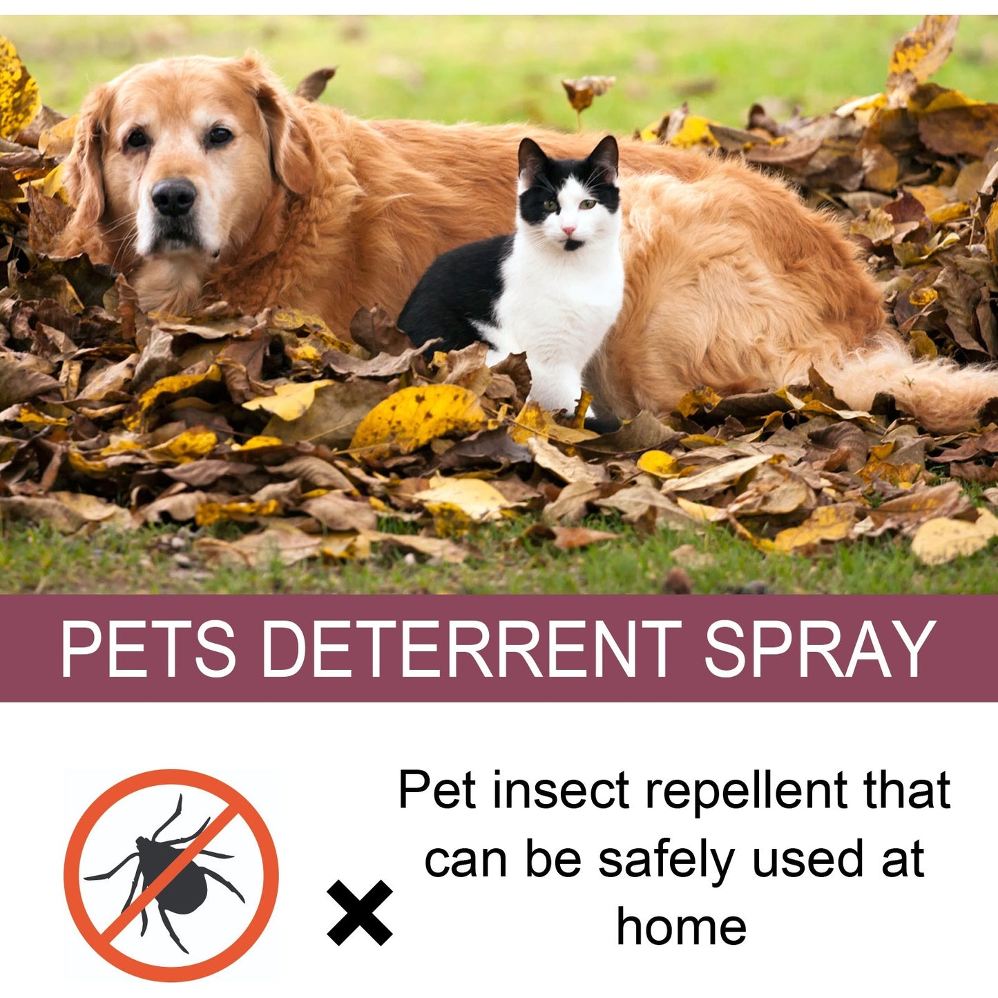 Pet Insect Repellent & Anti-Itching Spray - Pawsitive Cuddles