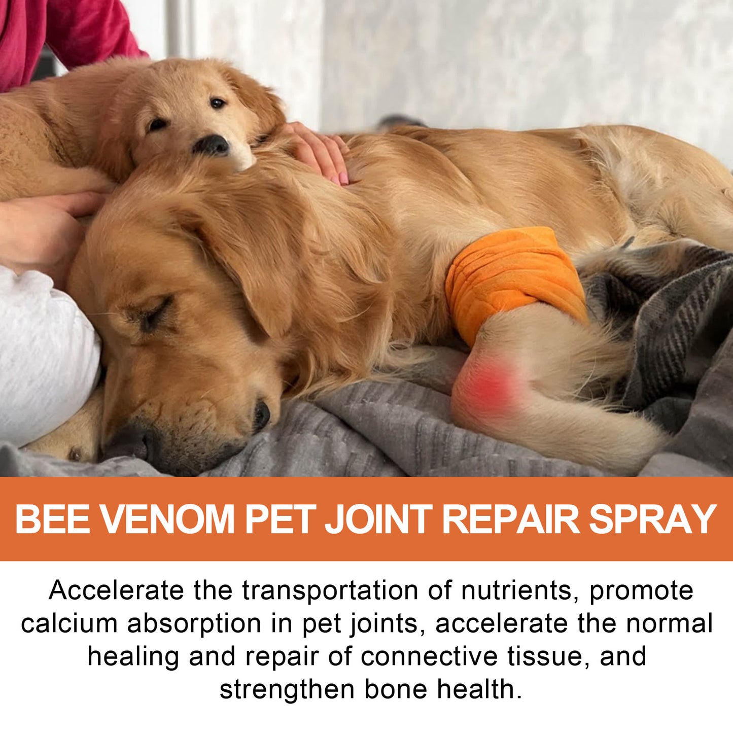 Pet Joint Repair Spray - Pawsitive Cuddles
