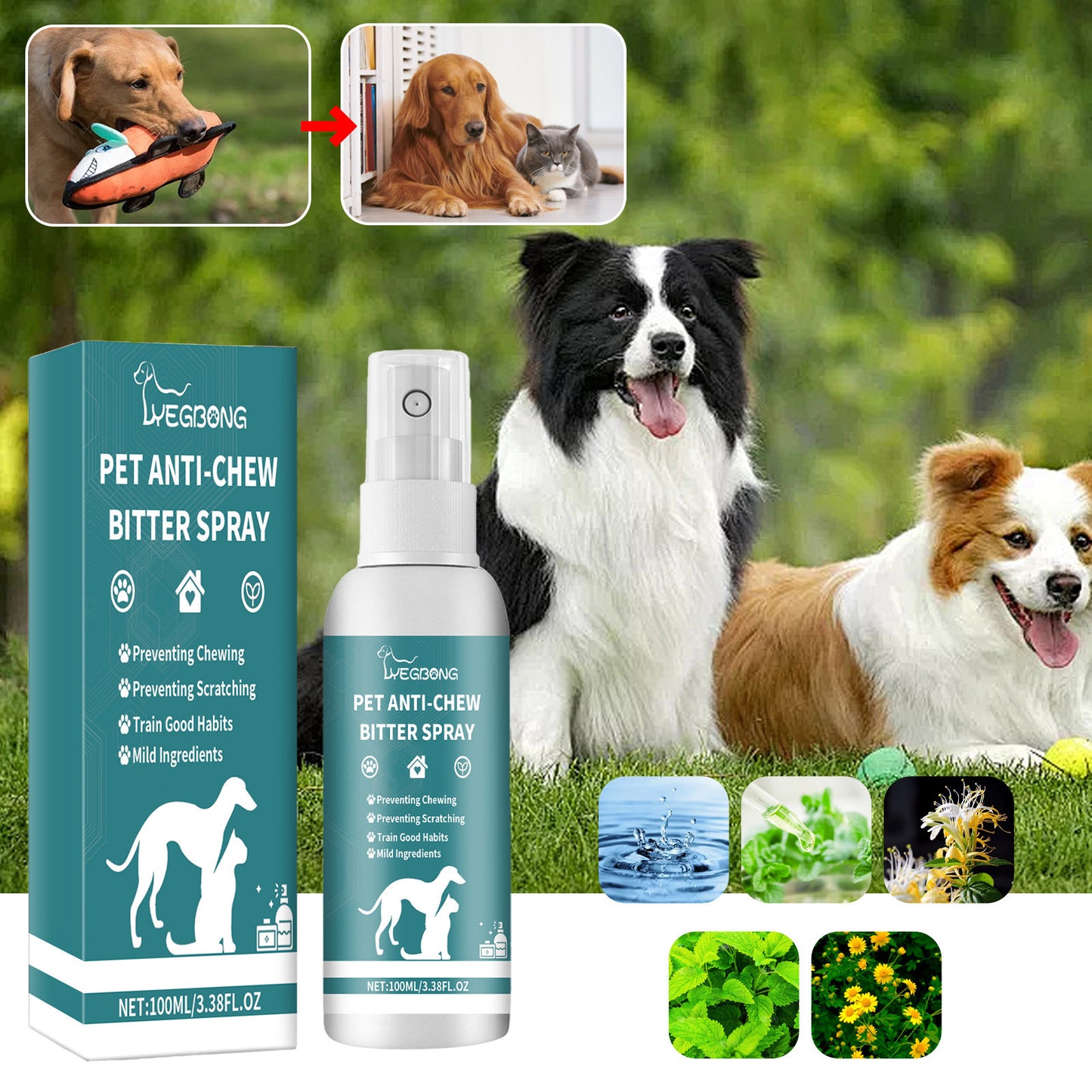 Anti-Scratching & Anti-Gnawing Deterrent for Dogs & Cats - Pawsitive Cuddles