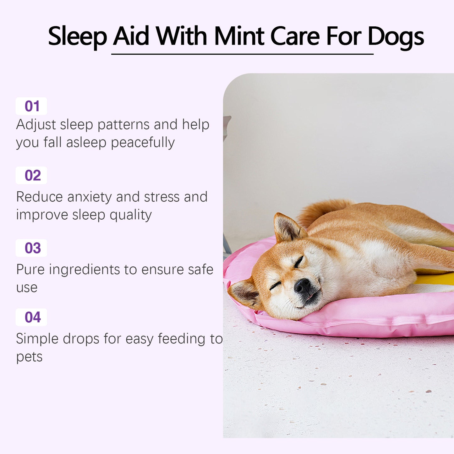 Nighttime Relaxation & Sleep Support for Dogs - Pawsitive Cuddles