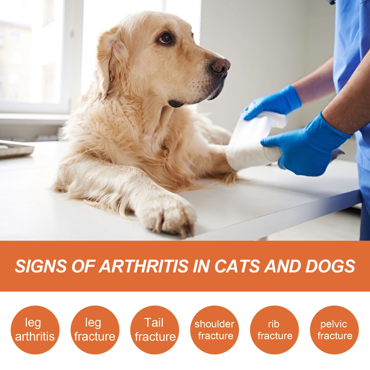 Pet Joint Repair Spray - Pawsitive Cuddles