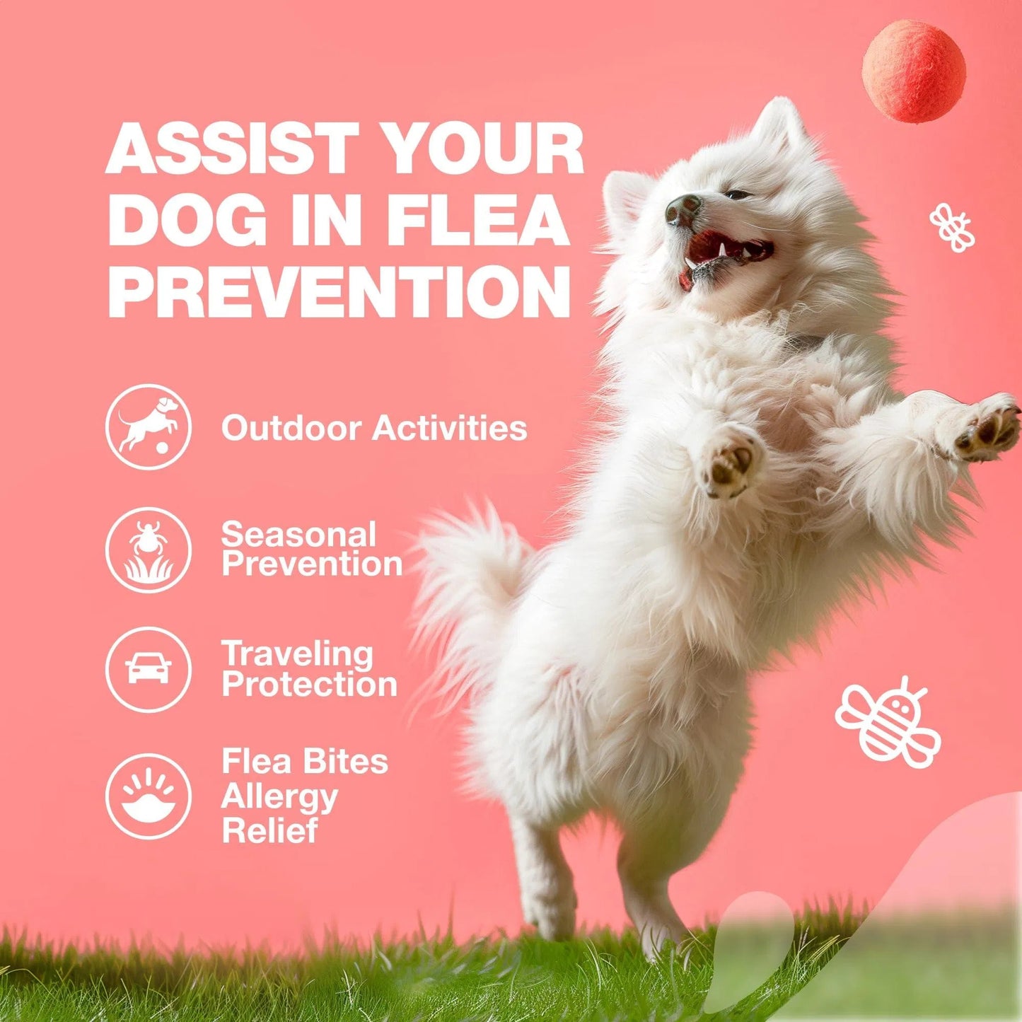 Flea & Tick Prevention with Immune Support Soft Treats - Pawsitive Cuddles
