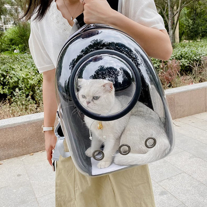 Transparent Skylight Pet Cat Backpack - Pawsitive Cuddles