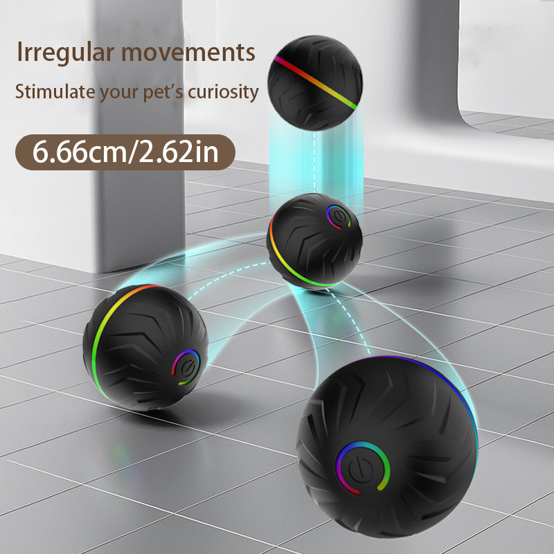 Interactive Motion-Activated Ball Pet Toy - Pawsitive Cuddles