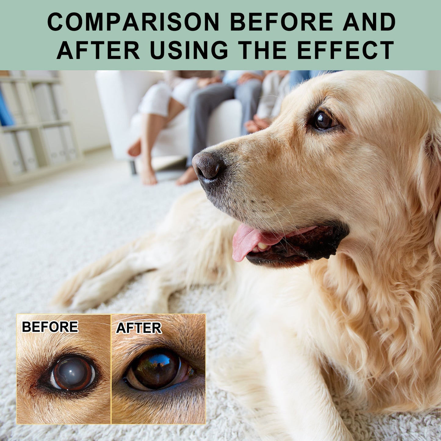 Gentle Eye Care Drops for Dogs & Cats - Pawsitive Cuddles