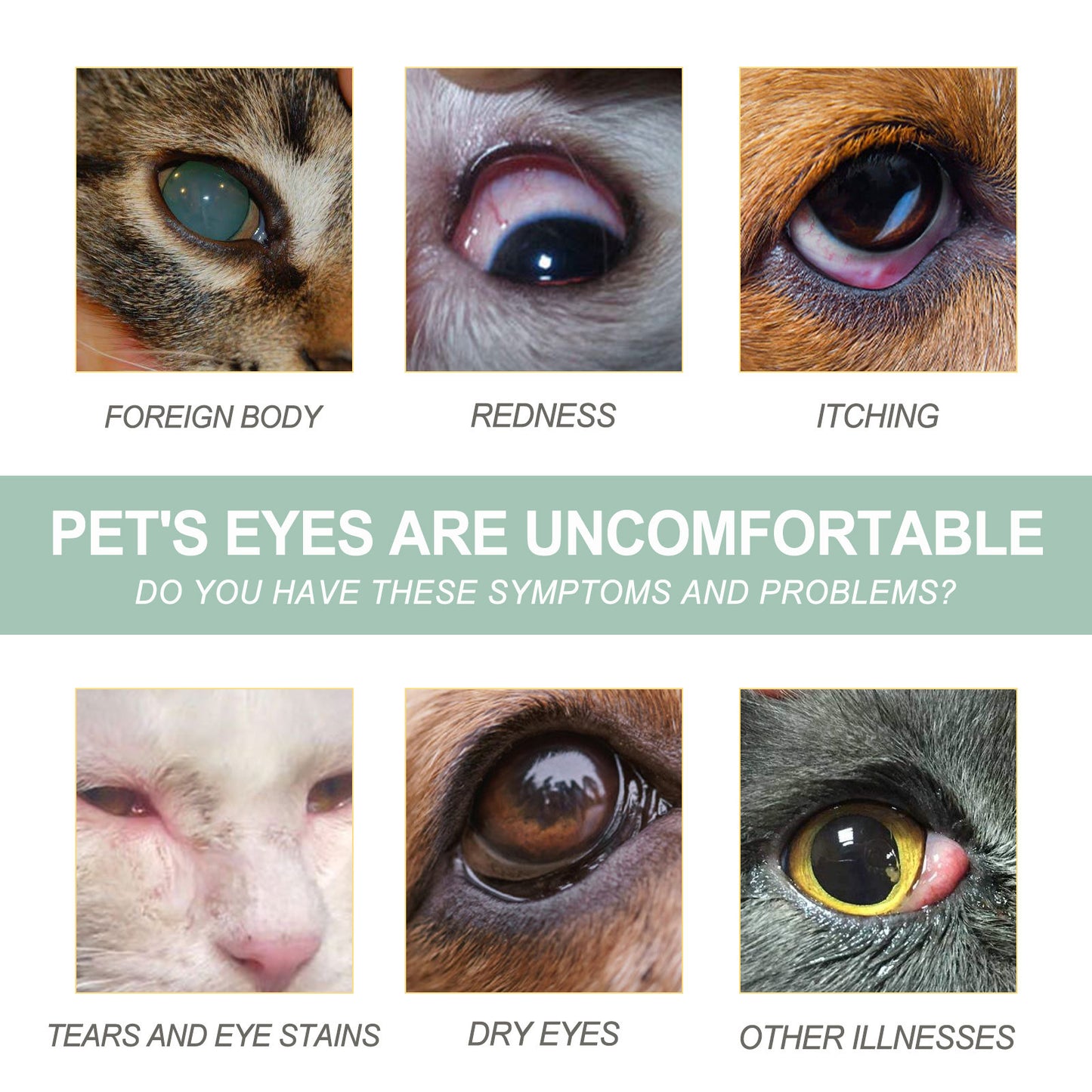 Gentle Eye Care Drops for Dogs & Cats - Pawsitive Cuddles