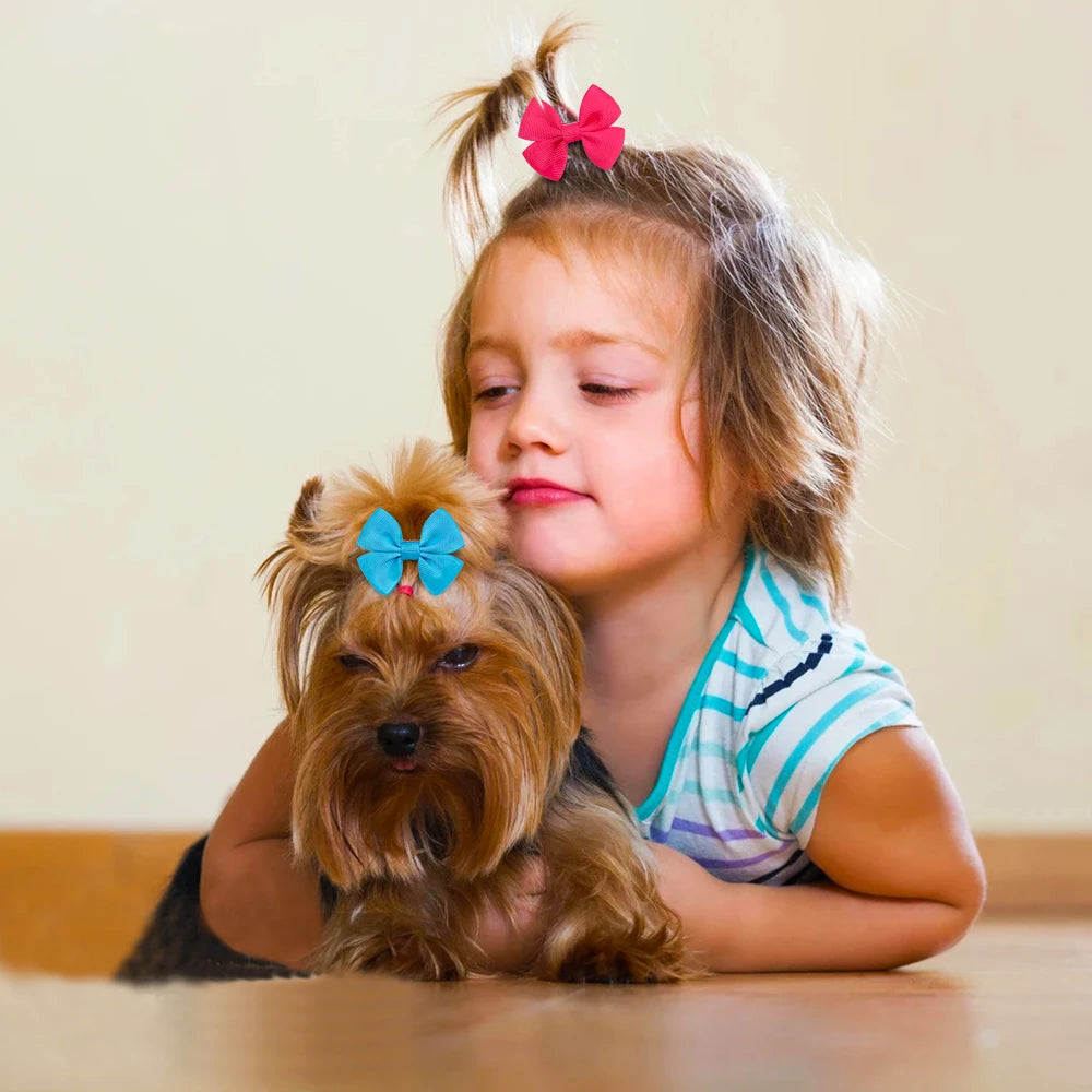 Cute Hair Accessories for Small Dogs - Pawsitive Cuddles