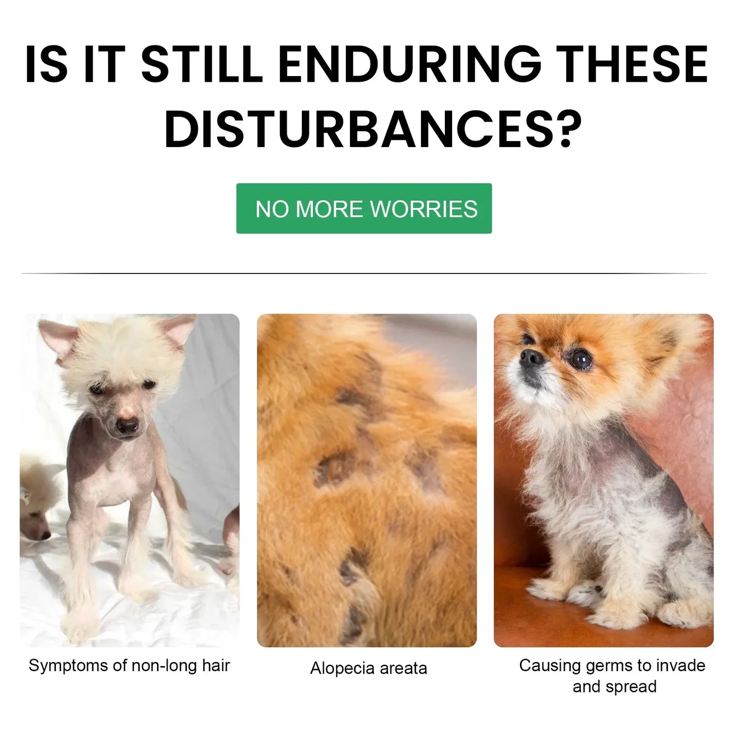 Pet Hair Regrowth & Skin Repair Essence - Pawsitive Cuddles