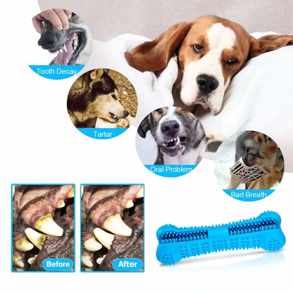 360° Soft Rubber Dog Toothbrush Toy - Pawsitive Cuddles