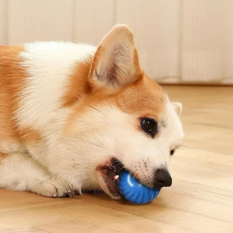 Automatic Pet Toy Ball – USB Charging, Rotating & Jumping Interactive Chew Toy for Dogs - Pawsitive Cuddles