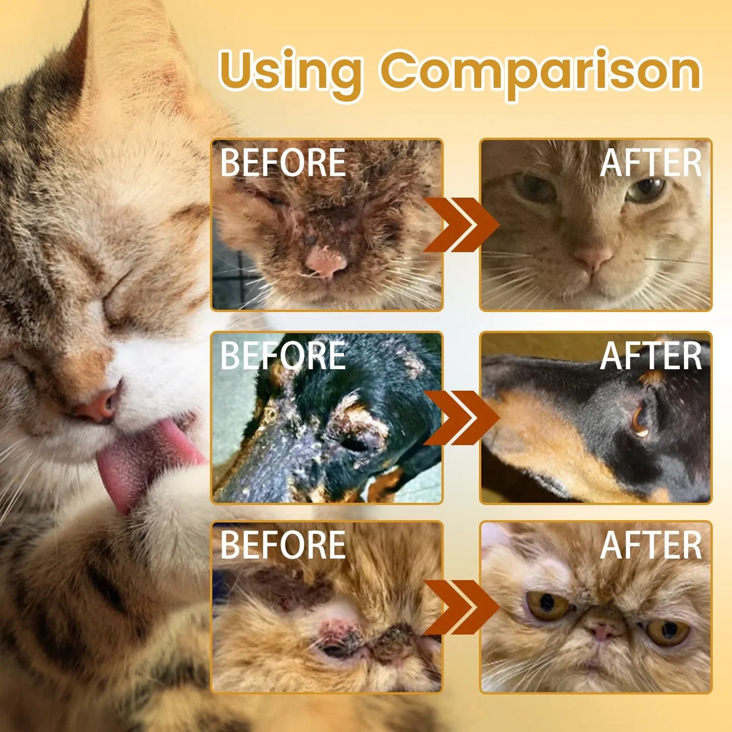 Anti-Itch, Anti-Flea, Mite & Tick Treatment for Dogs & Cats - Pawsitive Cuddles