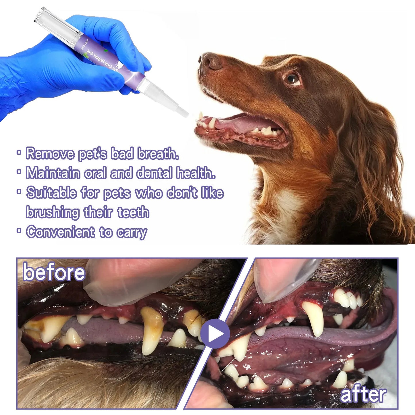 3ml Pet Oral Gel – Teeth Cleaning for Dogs & Cats - Pawsitive Cuddles