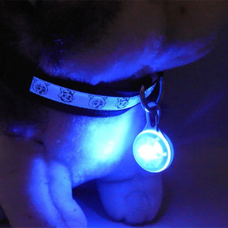 Led Dog Collar Pendant Dog Cat Collar Pet Leads Glow Accessories Bright Necklace Luminous Collar Night Safety Decoration - Click Mart