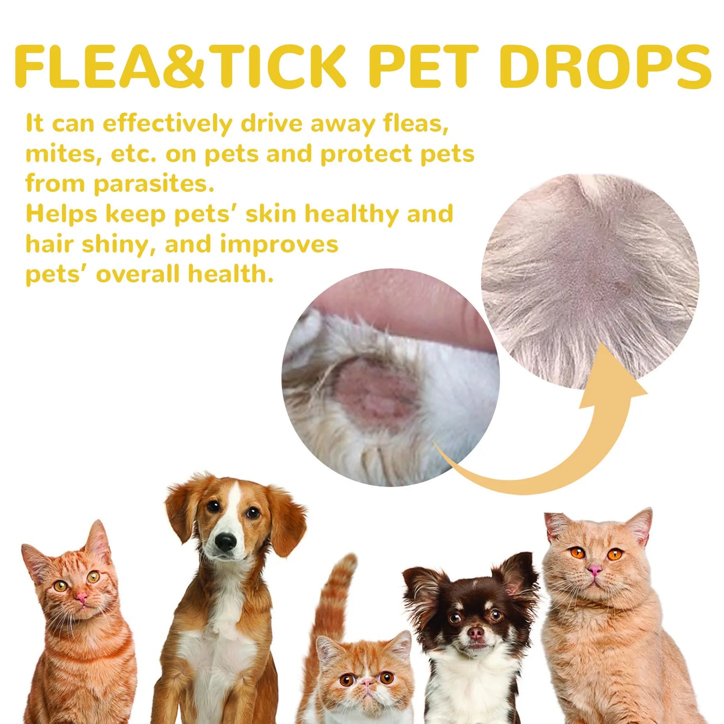 Cat Anti-Flea Drops