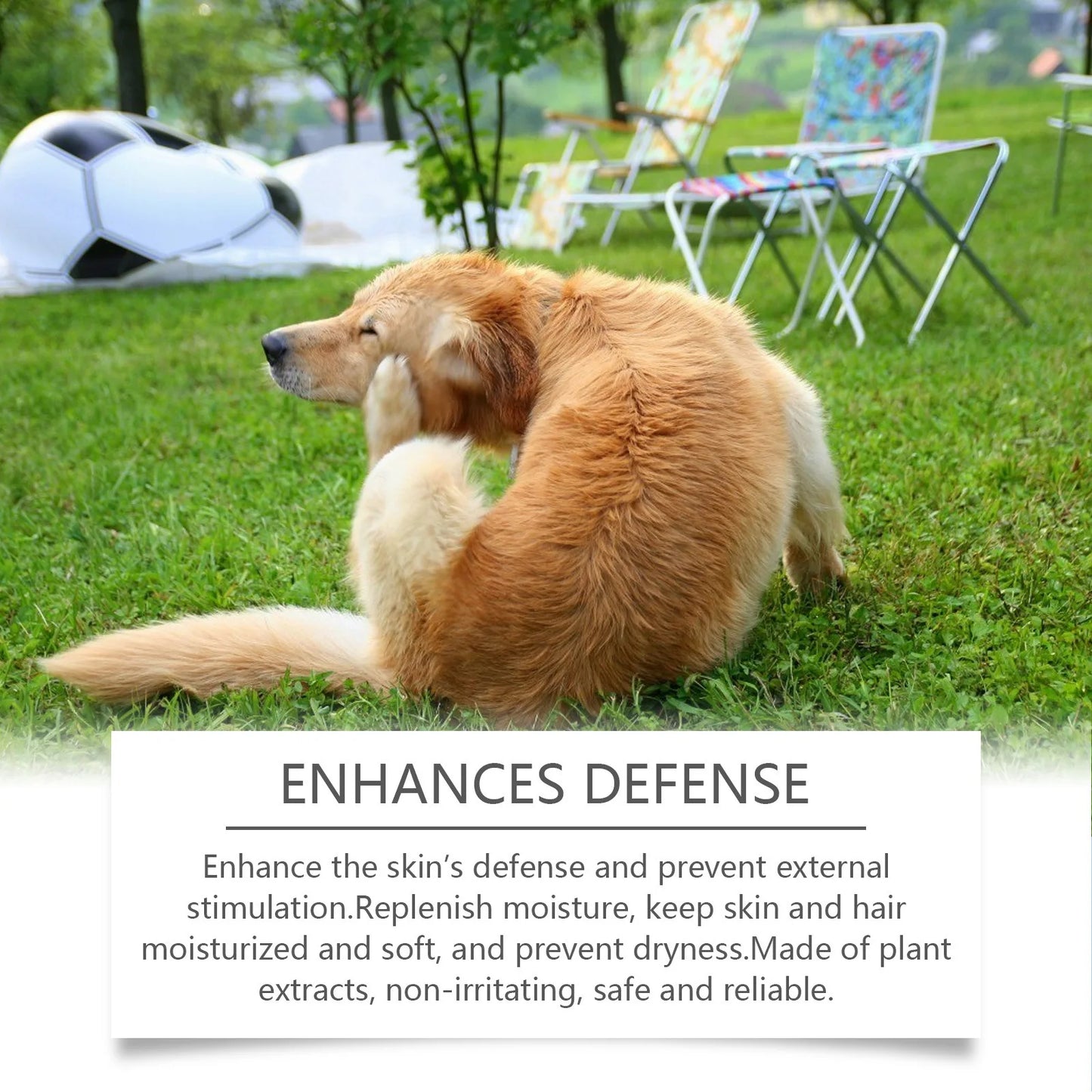 Dog Shampoo Conditioner Moisturizing for Sensitive Skin - Pawsitive Cuddles