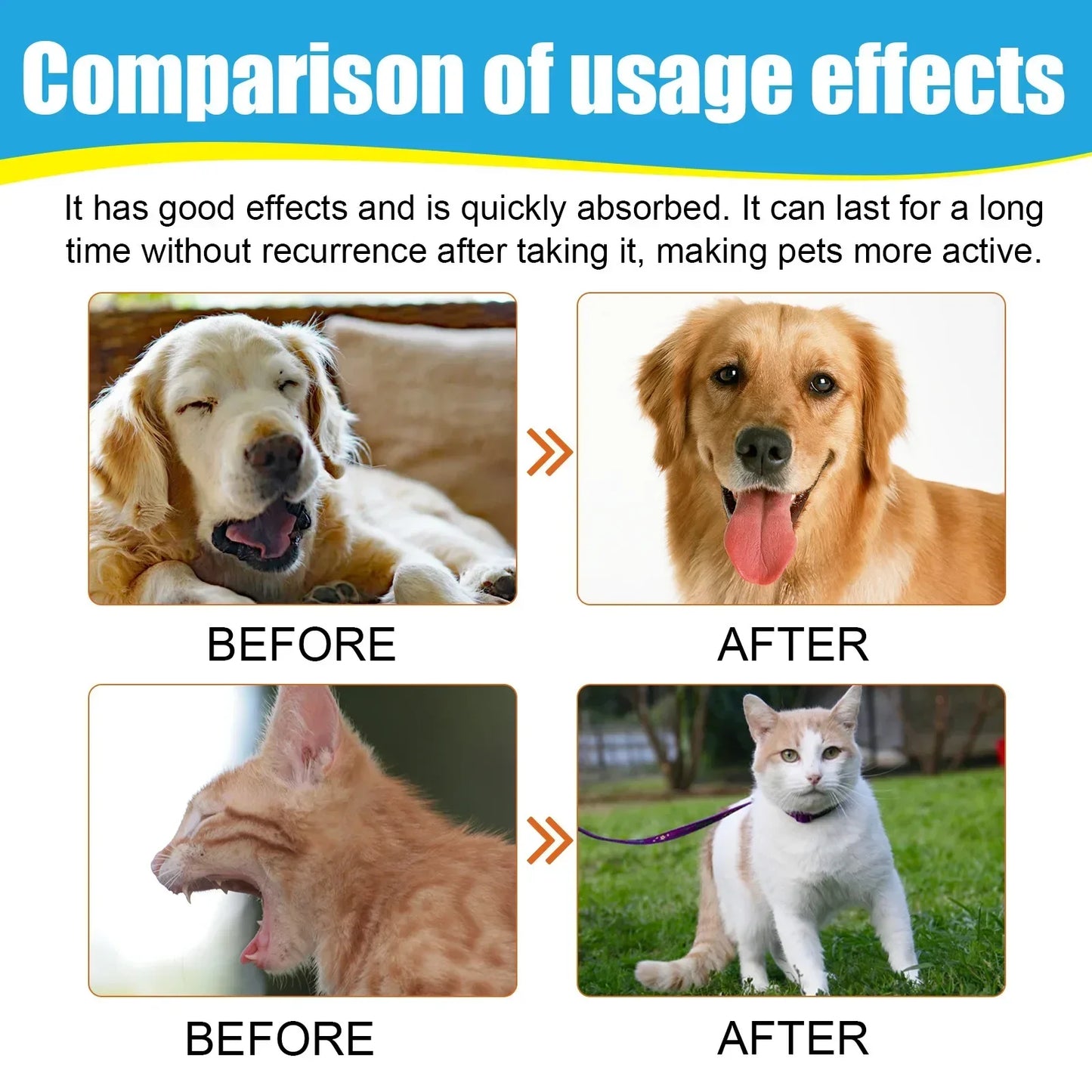 Pet Cough Drops – Herbal Soothing Relief for Dogs - Pawsitive Cuddles