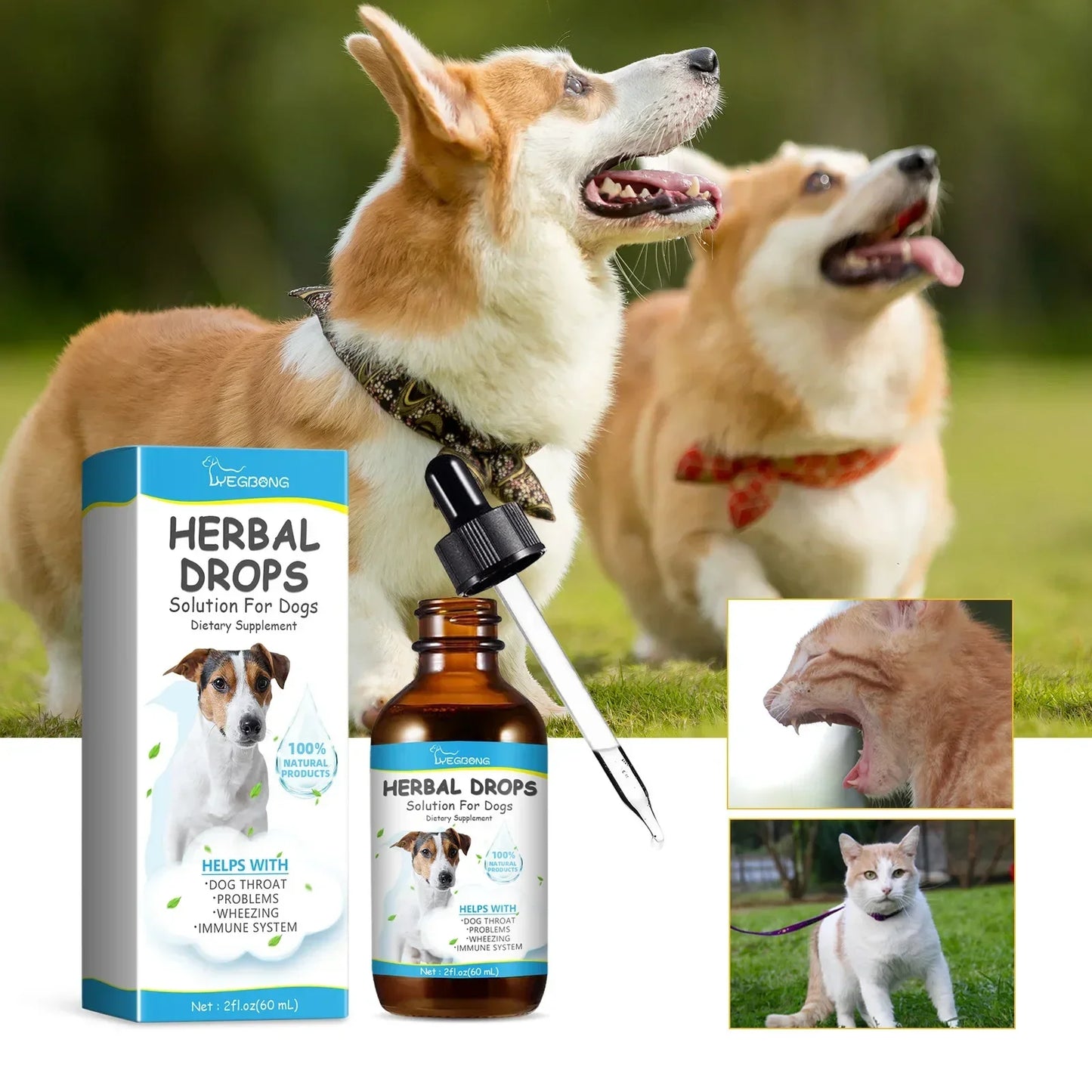 Pet Cough Drops – Herbal Soothing Relief for Dogs - Pawsitive Cuddles