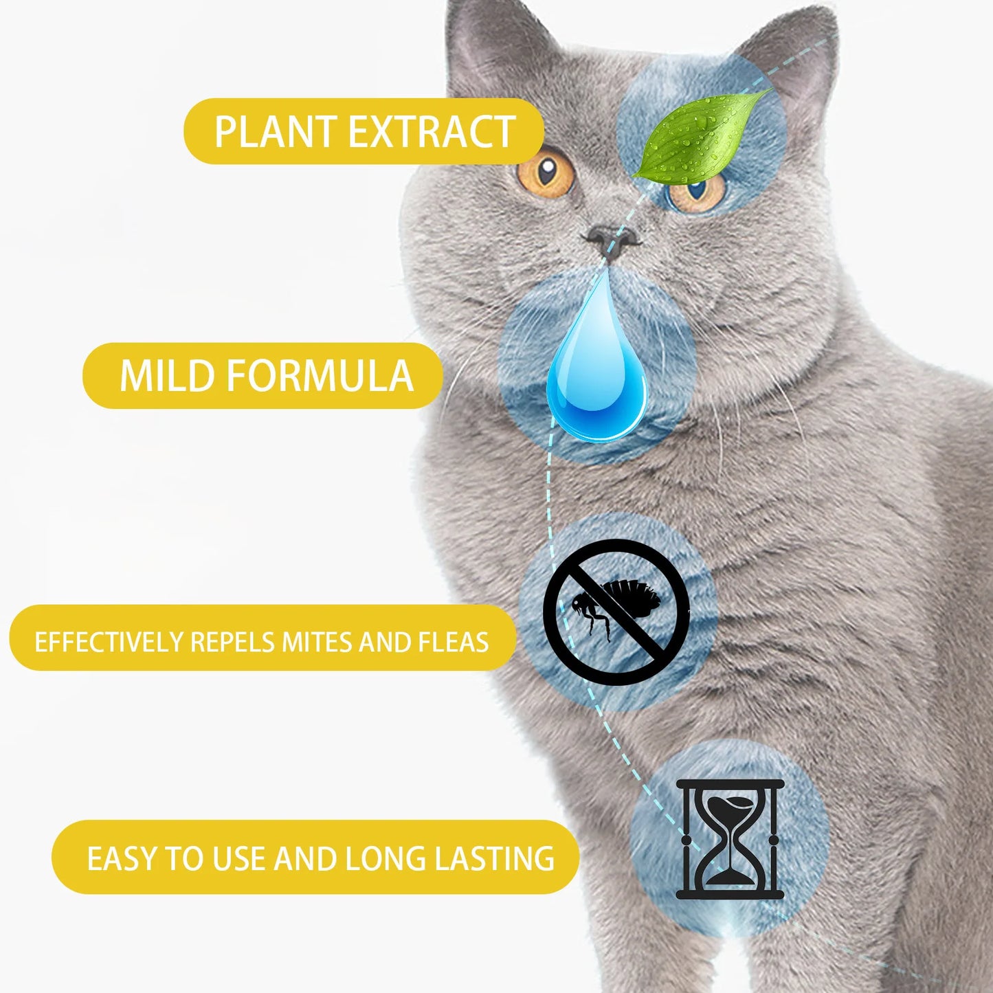 Cat Anti-Flea Drops
