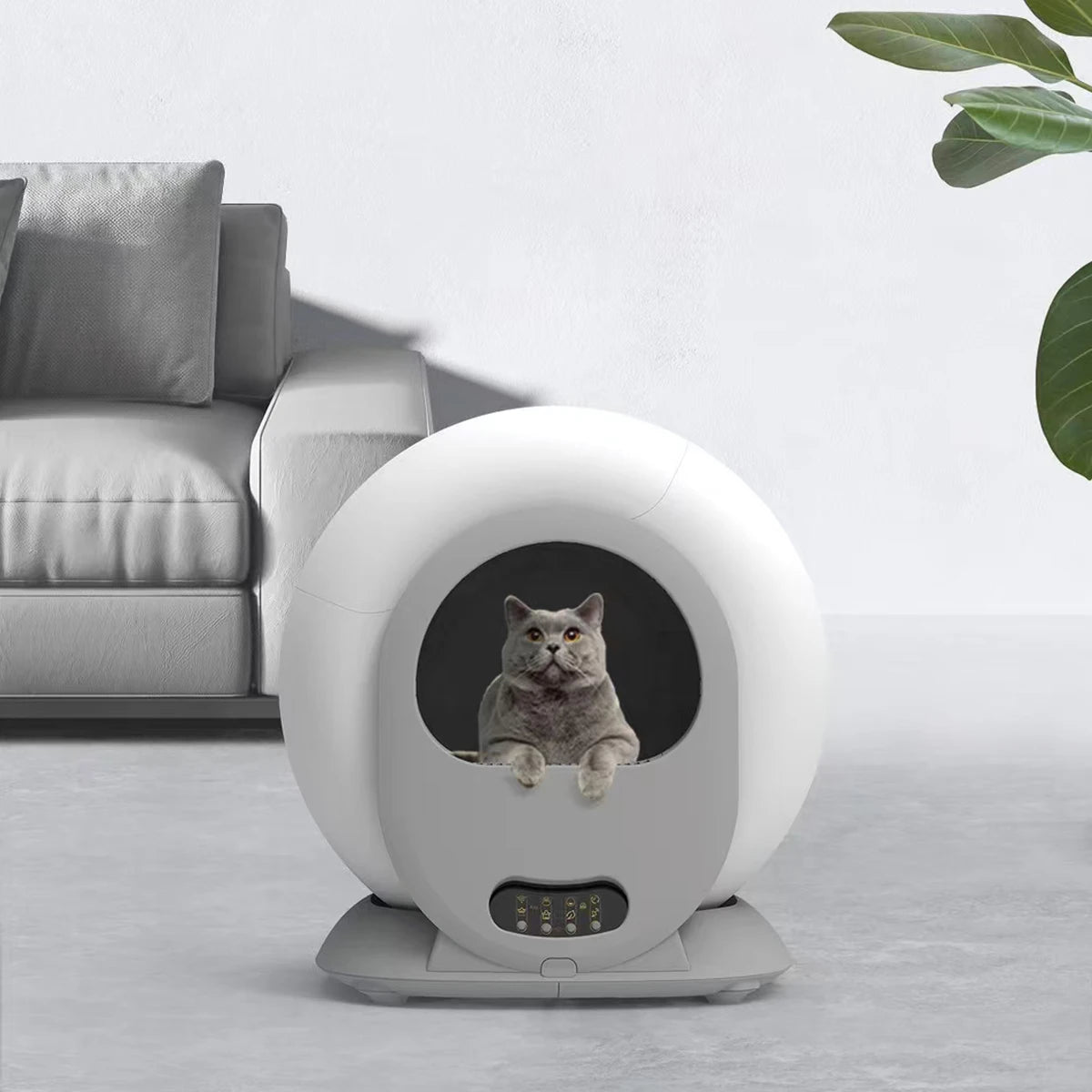APP Control, Automatic Cat Litter Box - Pawsitive Cuddles