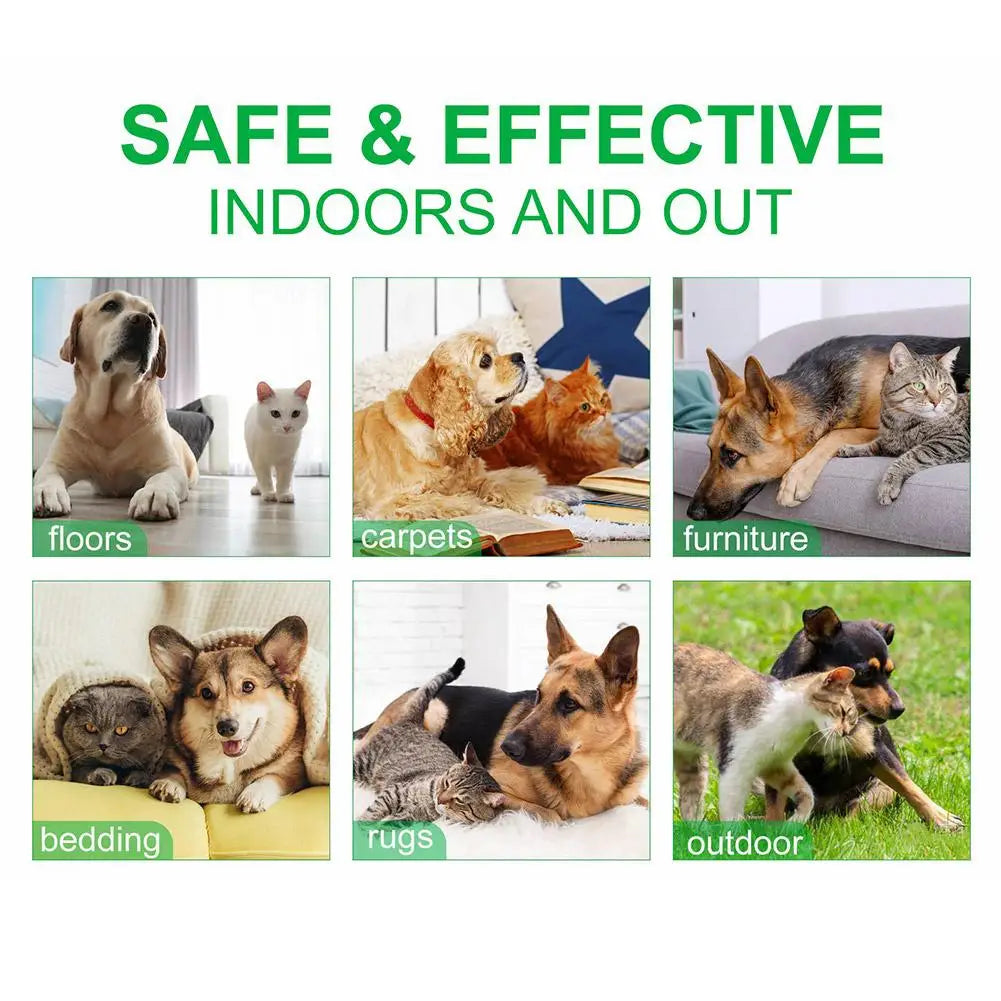 60ml Anti-Flea, Tick, Lice & Mite Removal - Pawsitive Cuddles