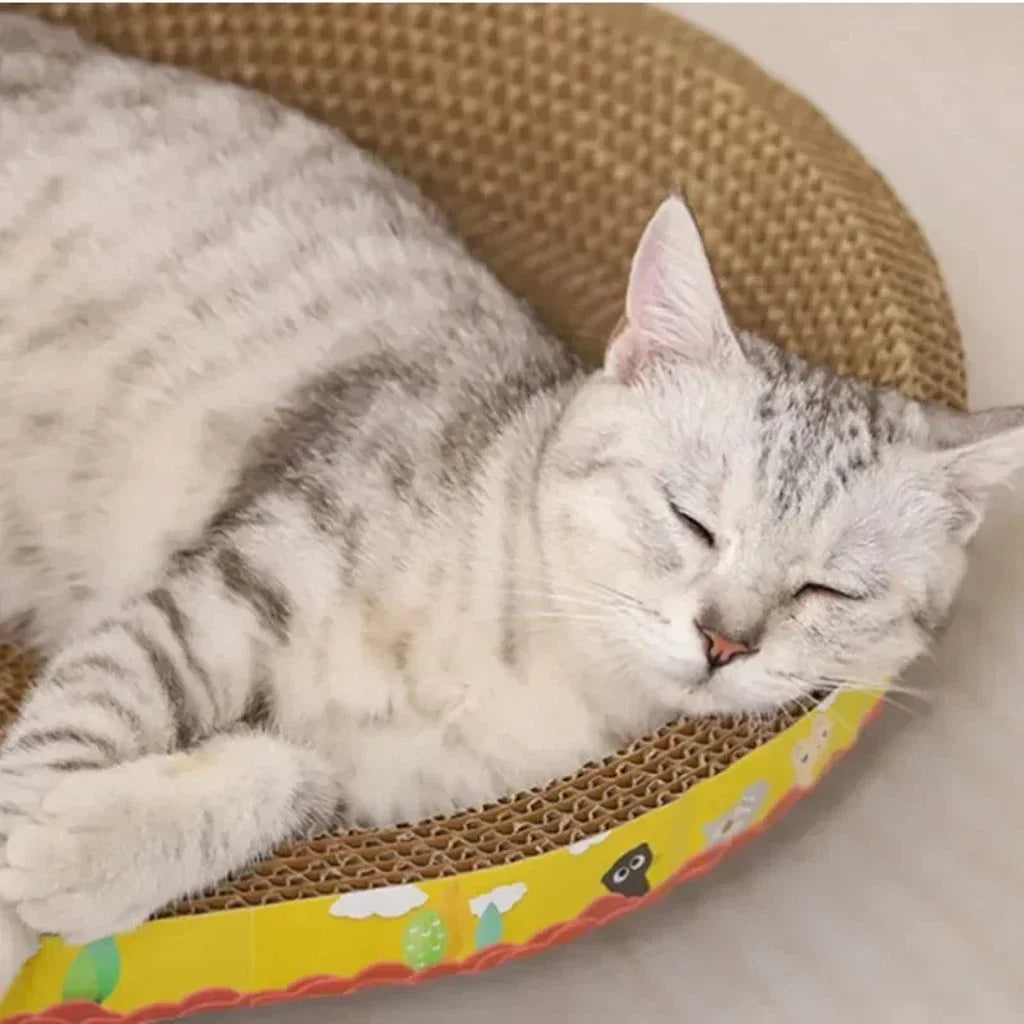Oval Cat Scratching Nest - Pawsitive Cuddles