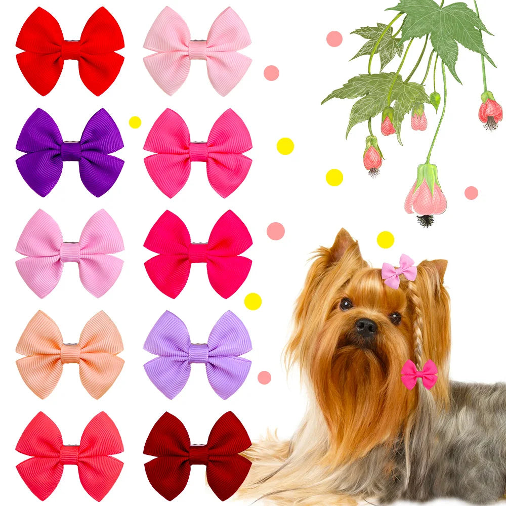 Cute Hair Accessories for Small Dogs - Pawsitive Cuddles