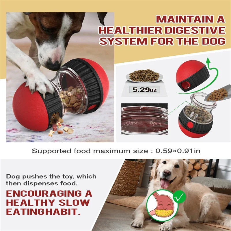 Elliptical Track Rolling Ball with Treat Dispenser - Pawsitive Cuddles