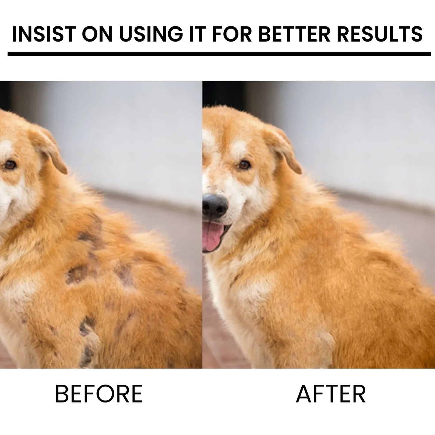 Pet Hair Regrowth & Skin Repair Essence - Pawsitive Cuddles