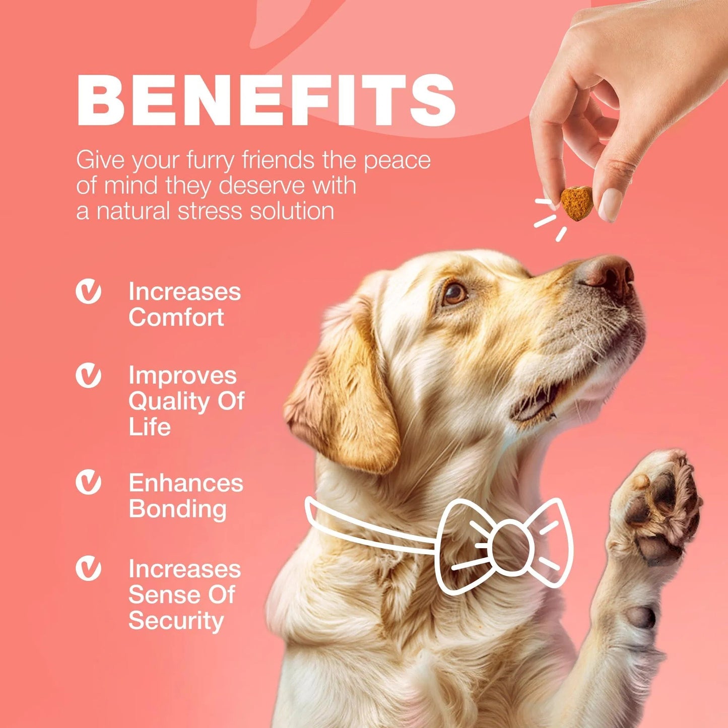 Flea & Tick Prevention with Immune Support Soft Treats - Pawsitive Cuddles