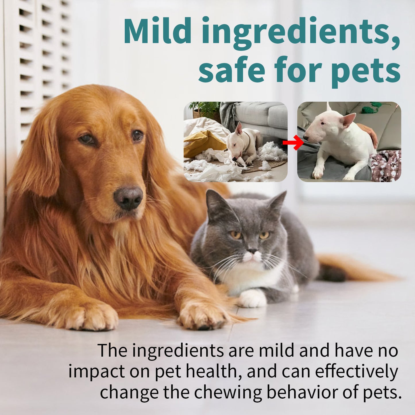 Anti-Scratching & Anti-Gnawing Deterrent for Dogs & Cats - Pawsitive Cuddles
