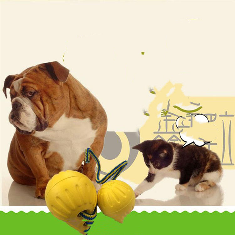 EVA Floating Dog Training Ball with Rope - Pawsitive Cuddles