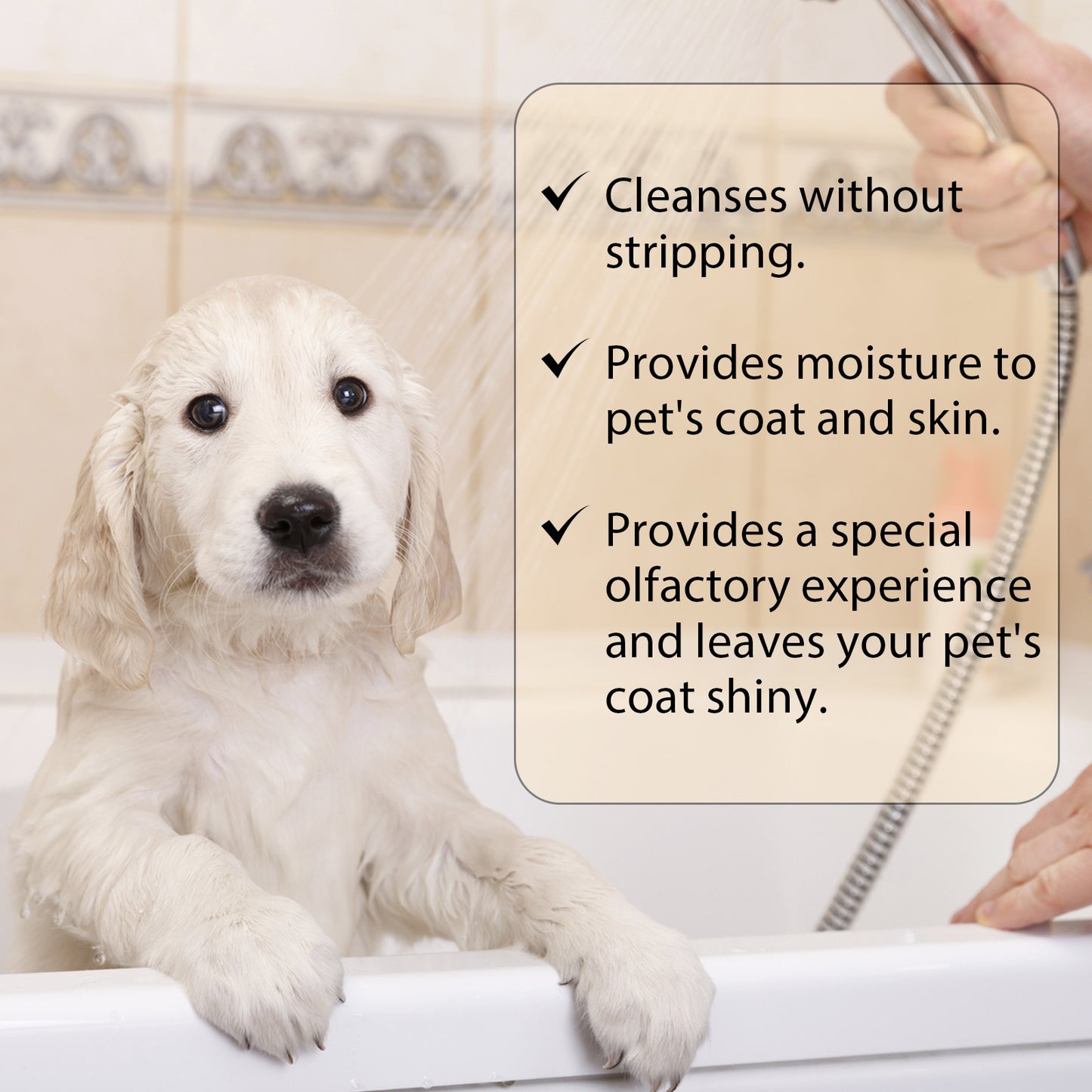 Softening & Detangling Pet Shampoo - Pawsitive Cuddles