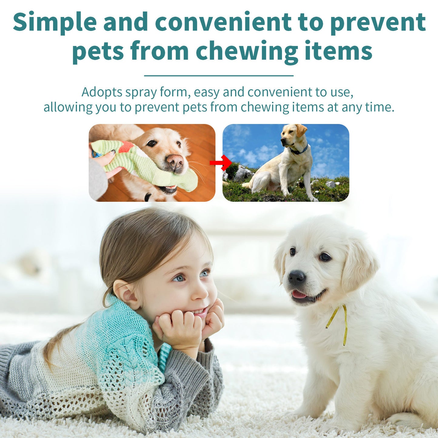 Anti-Scratching & Anti-Gnawing Deterrent for Dogs & Cats - Pawsitive Cuddles