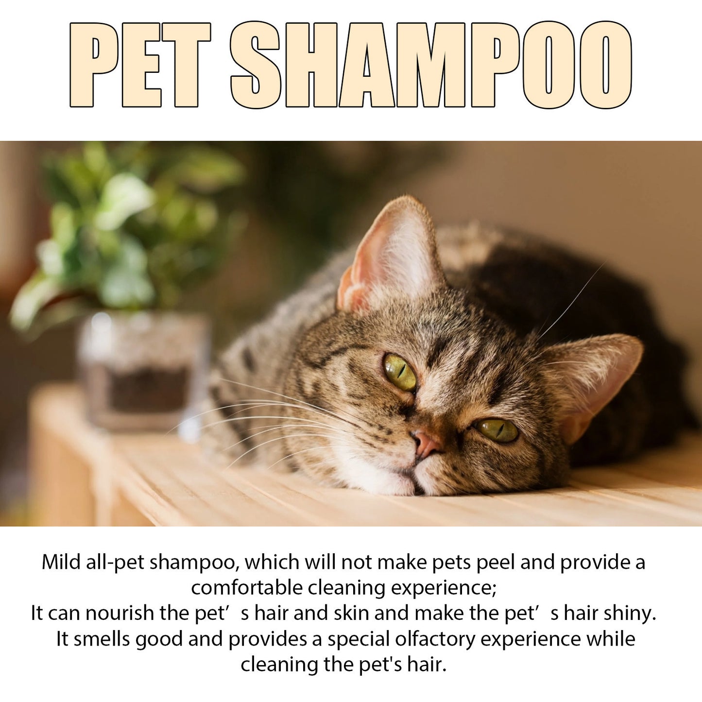 Softening & Detangling Pet Shampoo - Pawsitive Cuddles