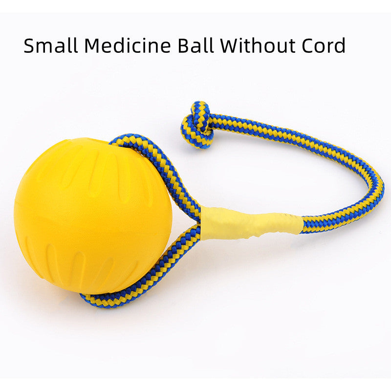 EVA Floating Dog Training Ball with Rope - Pawsitive Cuddles