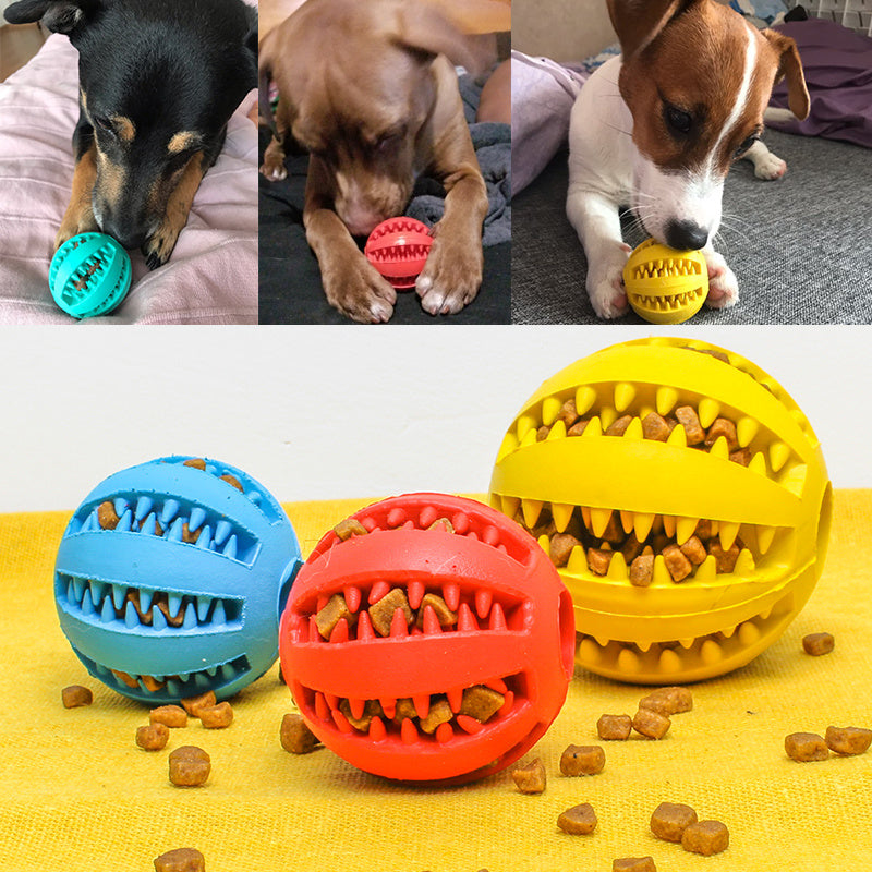 Interactive Rubber Dog Ball - Pawsitive Cuddles