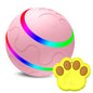 Cat Wicked Ball Intelligent Toy USB Charge - Pawsitive Cuddles