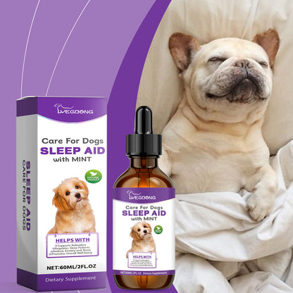 Nighttime Relaxation & Sleep Support for Dogs - Pawsitive Cuddles