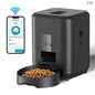 Remote Control, Timed & Measured Feeder - Pawsitive Cuddles