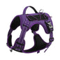 Durable Hand-Holding Rope Dog Harness - Pawsitive Cuddles