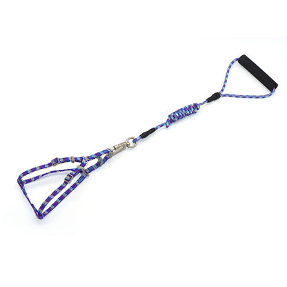 Fashionable Pet Climbing Harness with Foam Handle - Pawsitive Cuddles