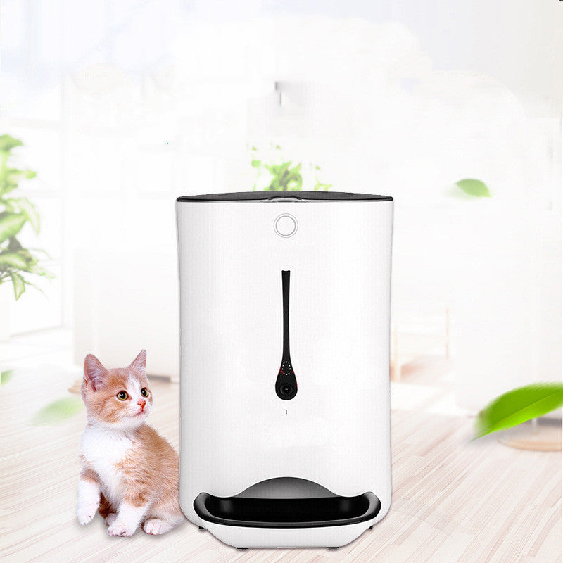 Timed Pet Video Automatic Feeder - Pawsitive Cuddles