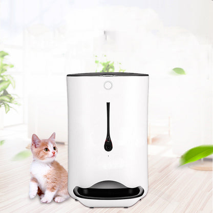Timed Pet Video Automatic Feeder - Pawsitive Cuddles